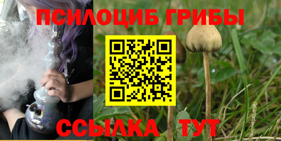 Псилоцибиновые грибы мицелий  Вход с VPN  Псилоцибиновые грибы прущие грибы  Новоуральск 